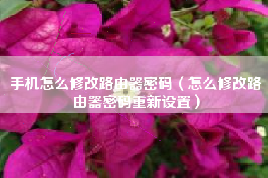 手机怎么修改路由器密码（怎么修改路由器密码重新设置）