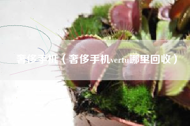 奢侈手机（奢侈手机vertu哪里回收）