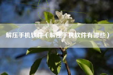 解压手机软件（解压手机软件有哪些）