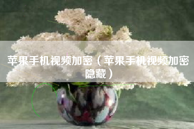 苹果手机视频加密（苹果手机视频加密隐藏）