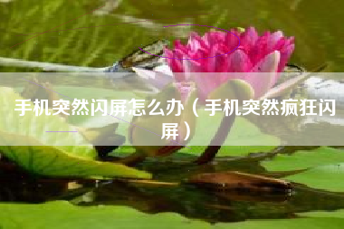 手机突然闪屏怎么办（手机突然疯狂闪屏）