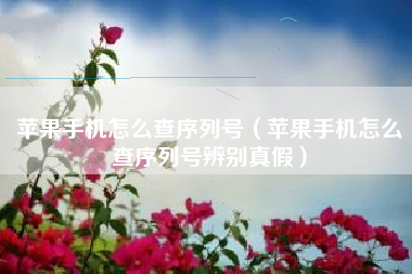 苹果手机怎么查序列号（苹果手机怎么查序列号辨别真假）