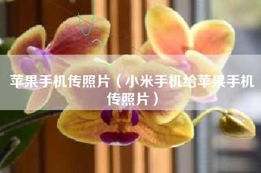 苹果手机传照片（小米手机给苹果手机传照片）