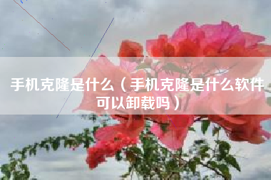 手机克隆是什么（手机克隆是什么软件可以卸载吗）