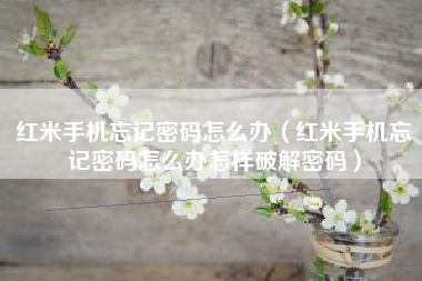红米手机忘记密码怎么办（红米手机忘记密码怎么办怎样破解密码）