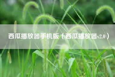 西瓜播放器手机版（西瓜播放器v2.0）