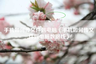 手机如何传文件到电脑（手机如何传文件到电脑数据线）