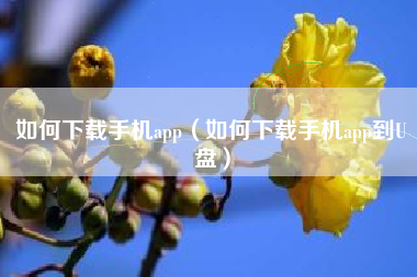 如何下载手机app（如何下载手机app到U盘）
