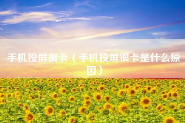 手机投屏很卡（手机投屏很卡是什么原因）
