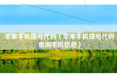 苹果手机拨号代码（苹果手机拨号代码查询手机信息）