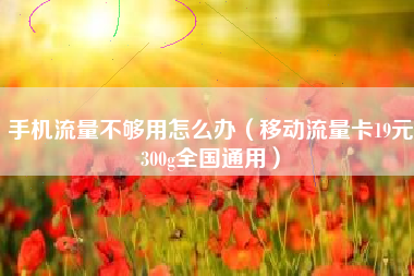 手机流量不够用怎么办（移动流量卡19元300g全国通用）