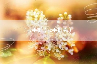 g2手机（g2手机壳）