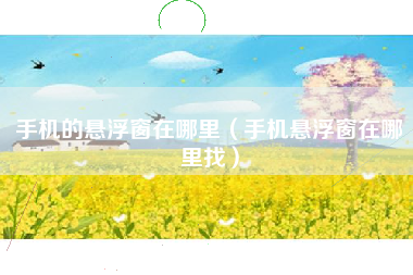 手机的悬浮窗在哪里（手机悬浮窗在哪里找）
