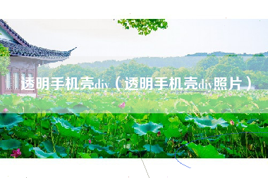 透明手机壳diy（透明手机壳diy照片）