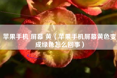 苹果手机 屏幕 黄（苹果手机屏幕黄色变成绿色怎么回事）