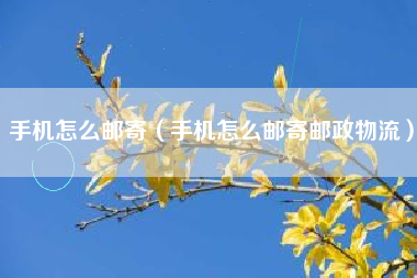 手机怎么邮寄（手机怎么邮寄邮政物流）