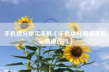 手机店分期买手机（手机店分期买手机容易通过吗）