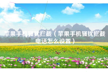 苹果手机骚扰拦截（苹果手机骚扰拦截电话怎么设置）