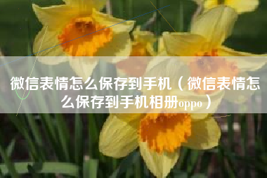 微信表情怎么保存到手机（微信表情怎么保存到手机相册oppo）