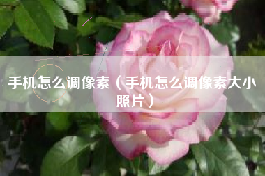 手机怎么调像素（手机怎么调像素大小 照片）