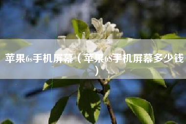 苹果6s手机屏幕（苹果6S手机屏幕多少钱）