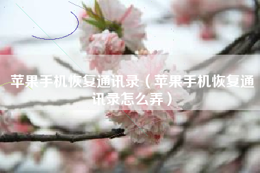 苹果手机恢复通讯录（苹果手机恢复通讯录怎么弄）