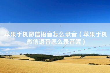 苹果手机微信语音怎么录音（苹果手机微信语音怎么录音呢）