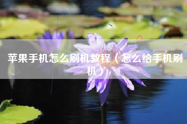 苹果手机怎么刷机教程（怎么给手机刷机）