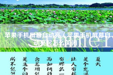 苹果手机屏幕自动亮（苹果手机屏幕自动亮起怎么关闭）