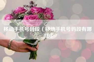 移动手机号码段（移动手机号码段有哪些）