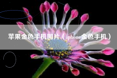 苹果金色手机图片（iphone金色手机）