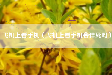 飞机上看手机（飞机上看手机会猝死吗）