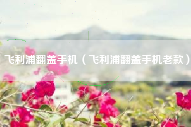 飞利浦翻盖手机（飞利浦翻盖手机老款）