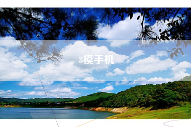 8模手机