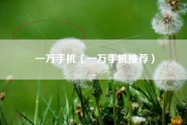 一万手机（一万手机推荐）