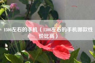 1300左右的手机（1300左右的手机哪款性价比高）