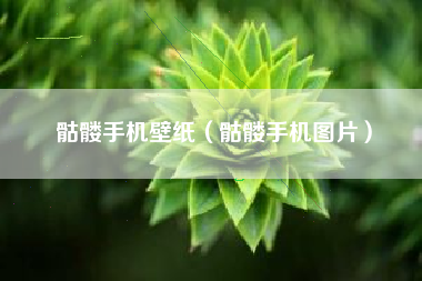 骷髅手机壁纸（骷髅手机图片）