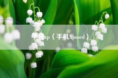 手机xp（手机Xposed）