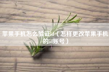 苹果手机怎么验证id（怎样更改苹果手机的id账号）