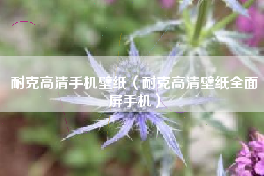 耐克高清手机壁纸（耐克高清壁纸全面屏手机）