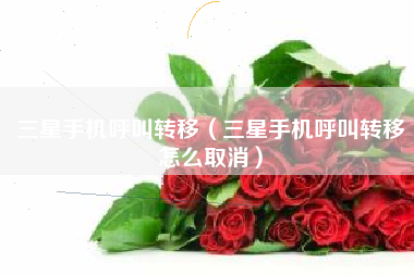 三星手机呼叫转移（三星手机呼叫转移怎么取消）
