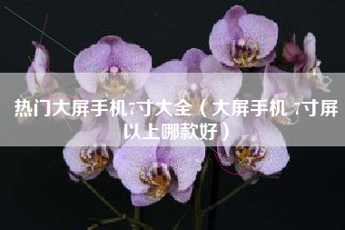 热门大屏手机7寸大全（大屏手机 7寸屏以上哪款好）