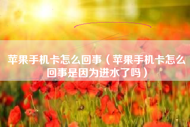 苹果手机卡怎么回事（苹果手机卡怎么回事是因为进水了吗）