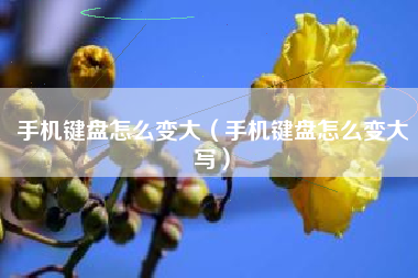 手机键盘怎么变大（手机键盘怎么变大写）