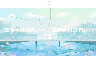 魅族手机没有声音（魅族手机没有声音包括蓝牙）