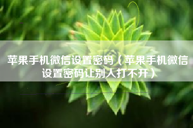 苹果手机微信设置密码（苹果手机微信设置密码让别人打不开）
