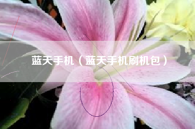蓝天手机（蓝天手机刷机包）