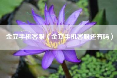 金立手机客服（金立手机客服还有吗）
