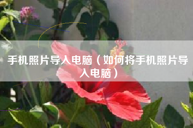 手机照片导入电脑（如何将手机照片导入电脑）
