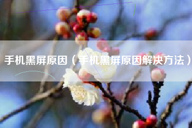 手机黑屏原因（手机黑屏原因解决方法）